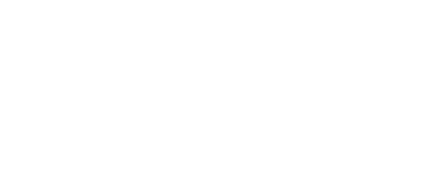 MARGA Business Simulations